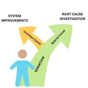 Common Cause Variation vs Special Cause Variation: Spotting the Signals ...