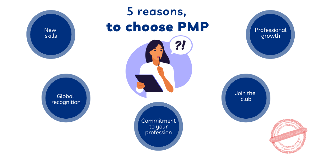 PMP What Is It Really About